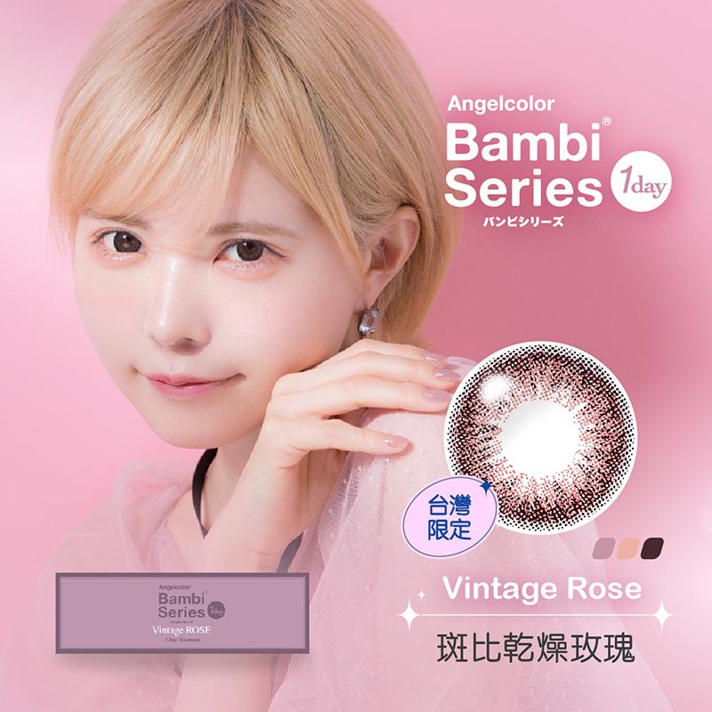 斑比乾燥玫瑰 Vintage rose